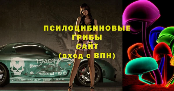 шишки Кулебаки