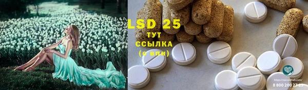 шишки Кулебаки